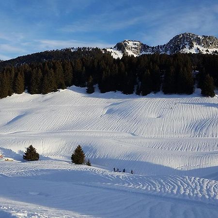 Gite Les Lanfiannes Thorens-Glieres Bagian luar foto