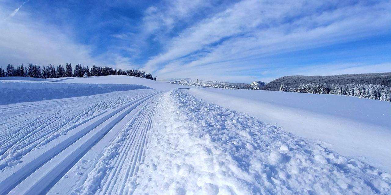Gite Les Lanfiannes Thorens-Glieres Bagian luar foto