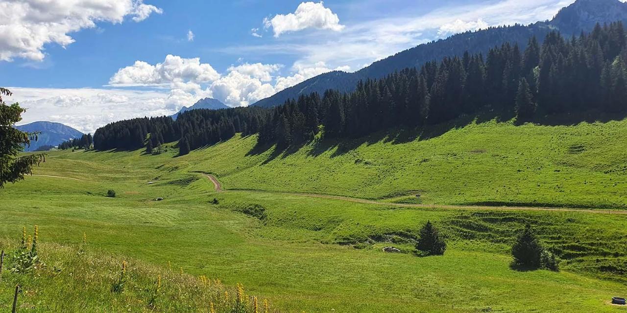 Gite Les Lanfiannes Thorens-Glieres Bagian luar foto