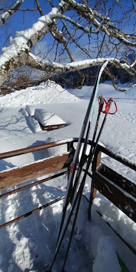 Gite Les Lanfiannes Thorens-Glieres Bagian luar foto