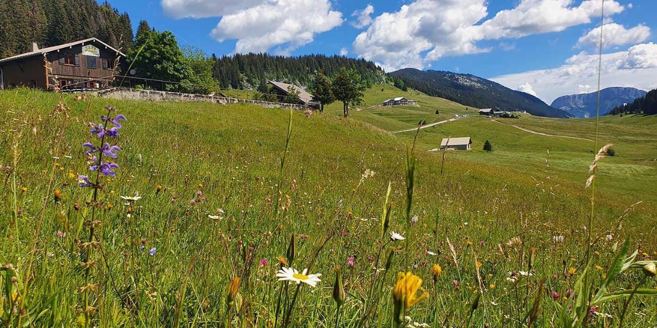 Gite Les Lanfiannes Thorens-Glieres Bagian luar foto