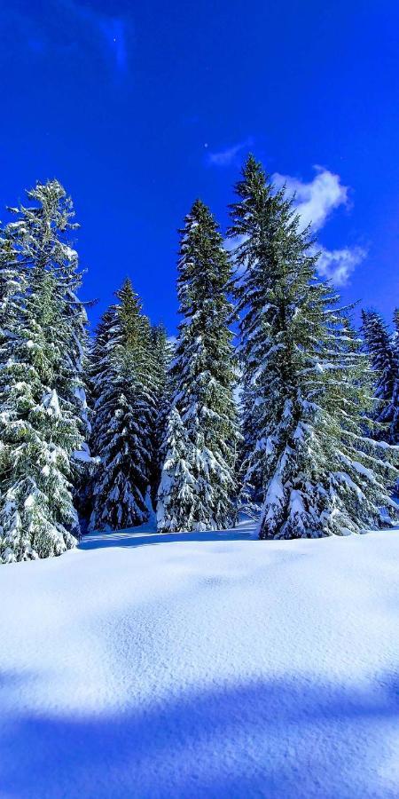 Gite Les Lanfiannes Thorens-Glieres Bagian luar foto