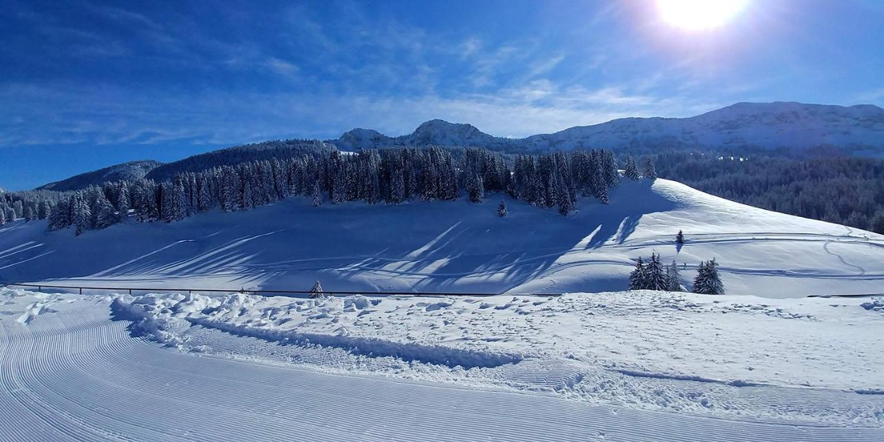 Gite Les Lanfiannes Thorens-Glieres Bagian luar foto