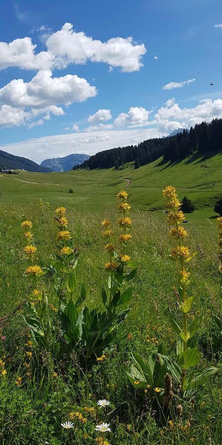 Gite Les Lanfiannes Thorens-Glieres Bagian luar foto