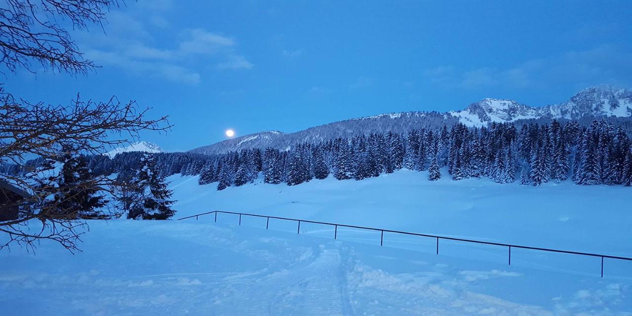 Gite Les Lanfiannes Thorens-Glieres Bagian luar foto