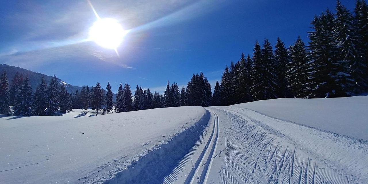 Gite Les Lanfiannes Thorens-Glieres Bagian luar foto