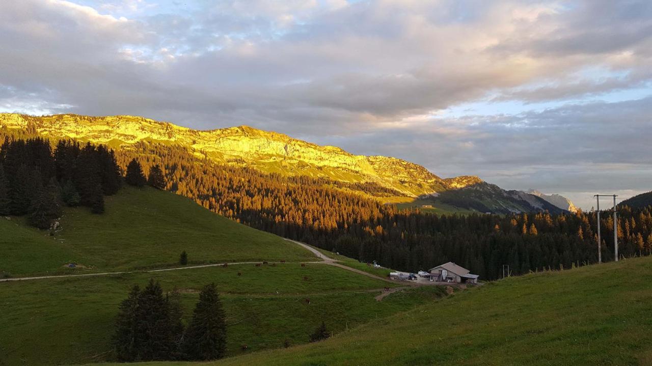 Gite Les Lanfiannes Thorens-Glieres Bagian luar foto