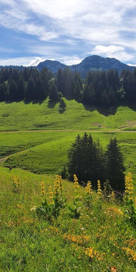 Gite Les Lanfiannes Thorens-Glieres Bagian luar foto